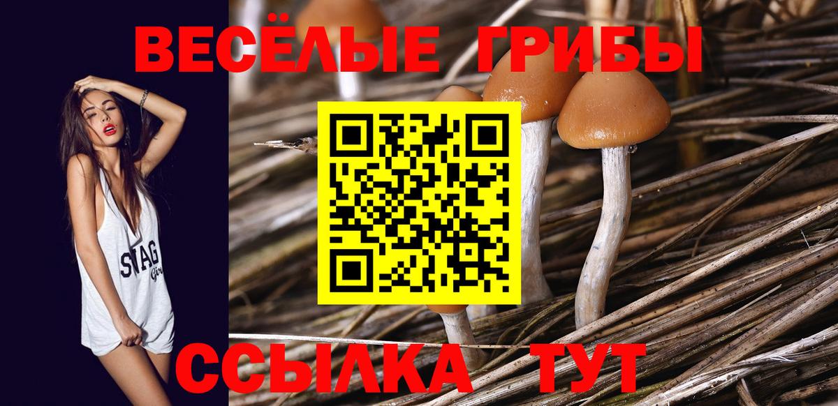 Ярославль  Псилоцибиновые грибы GOLDEN TEACHER  Вход с VPN 